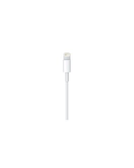 Apple Cable USB vers Lightning 1M